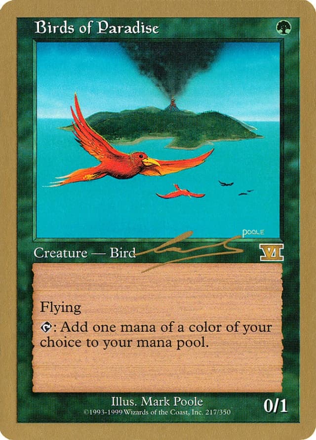 Birds of Paradise image