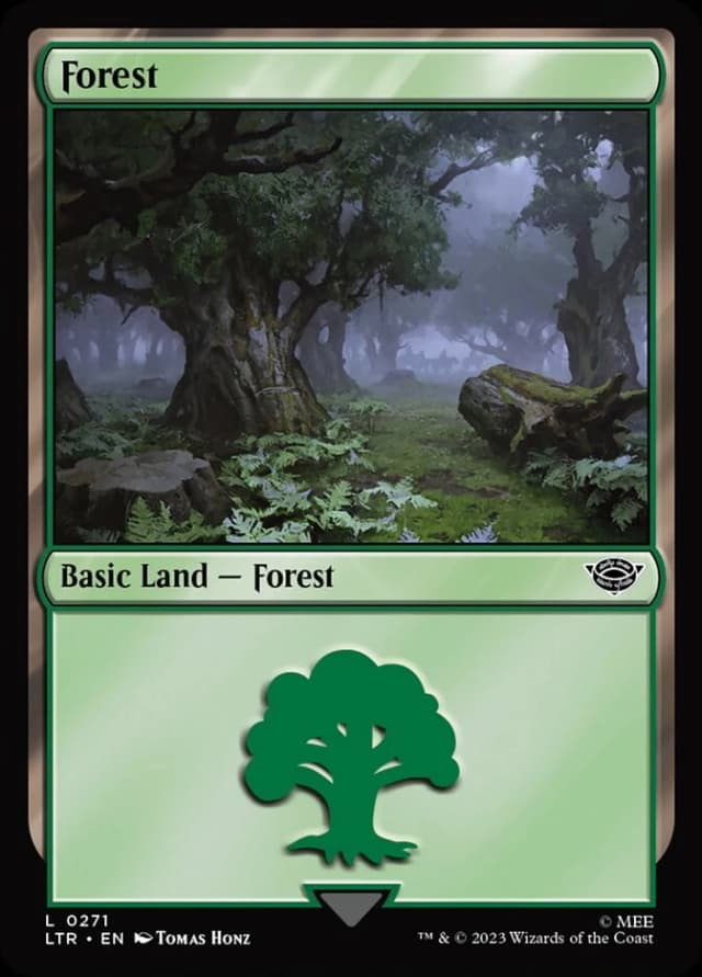 Forest image