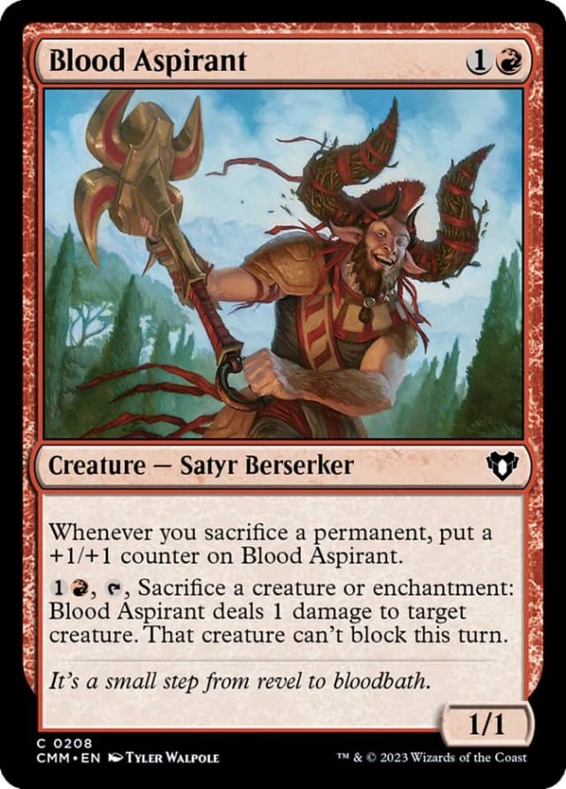Blood Aspirant image