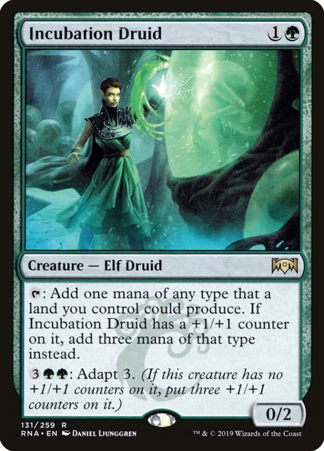 Incubation Druid image