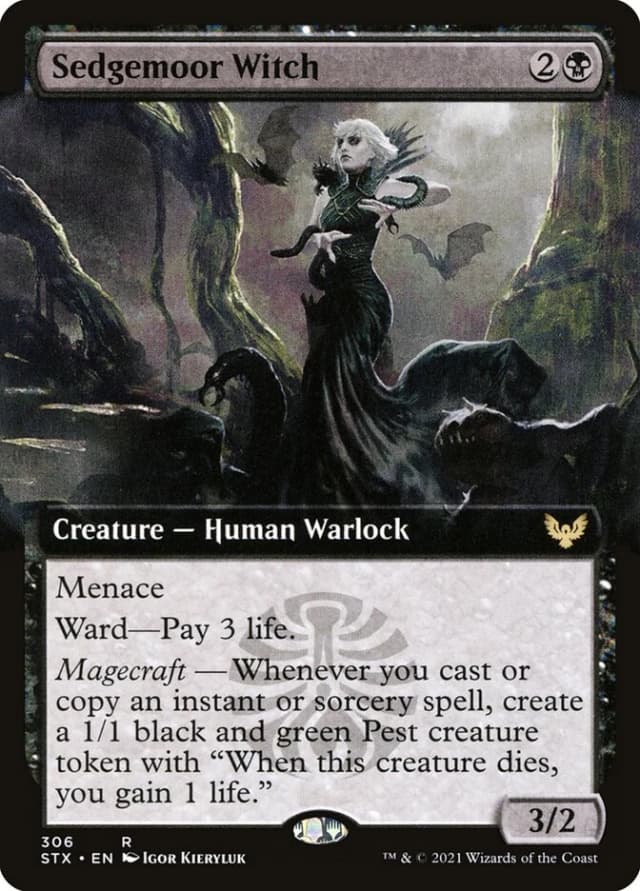 Sedgemoor Witch image
