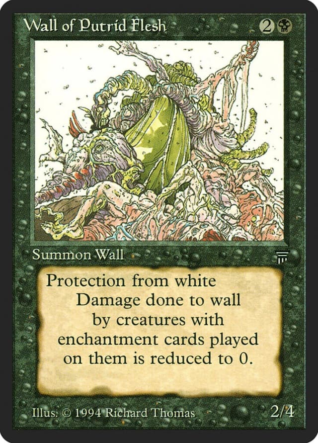 Wall of Putrid Flesh image