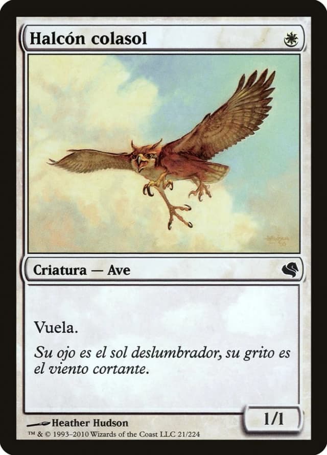 Suntail Hawk image