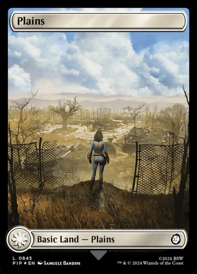 Plains image