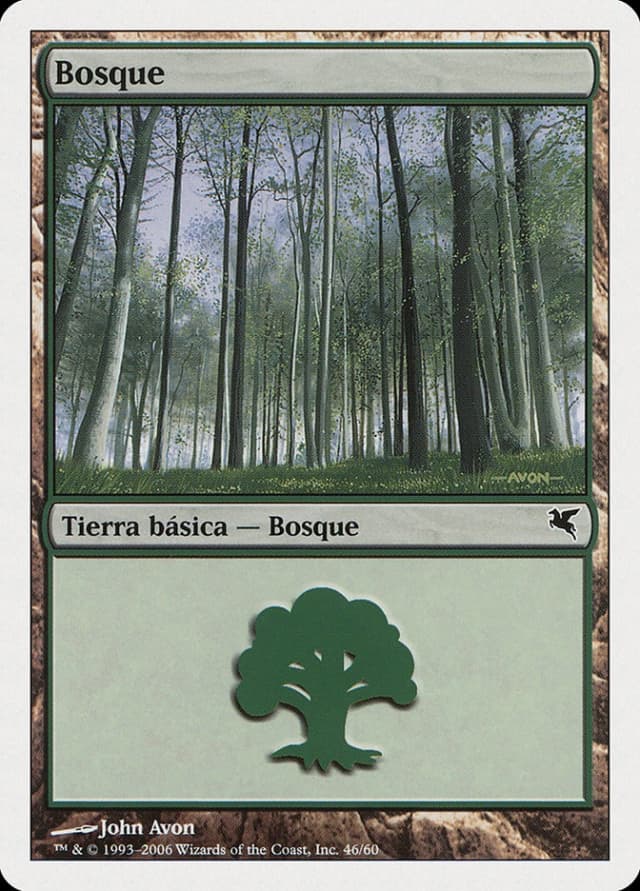 Forest image