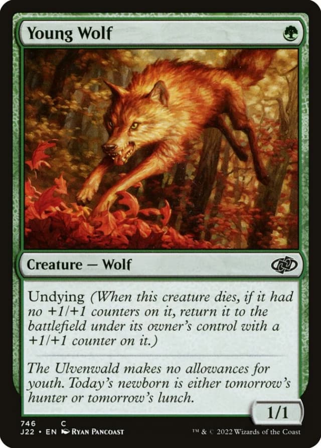 Young Wolf image