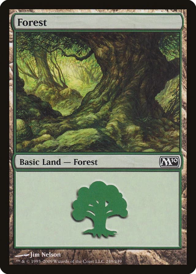Forest image