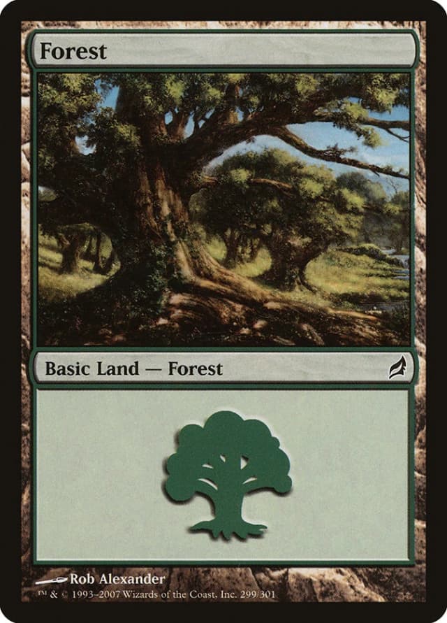 Forest image