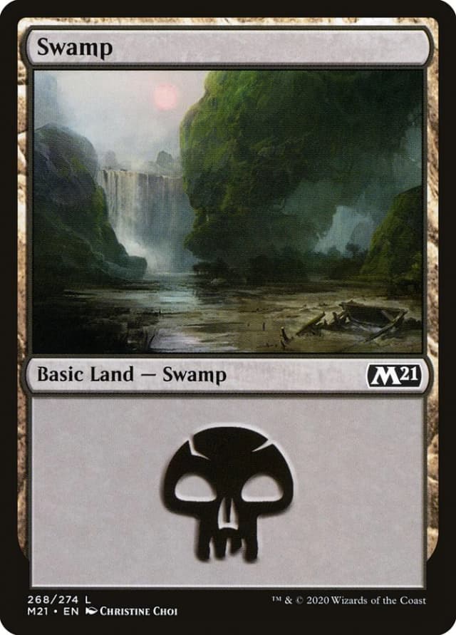 Swamp image
