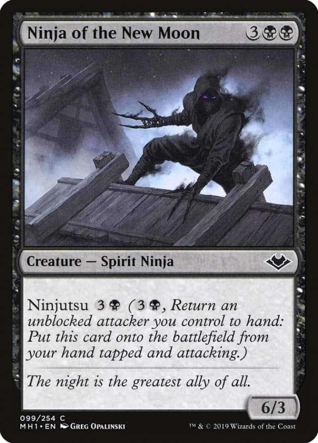 Ninja of the New Moon image
