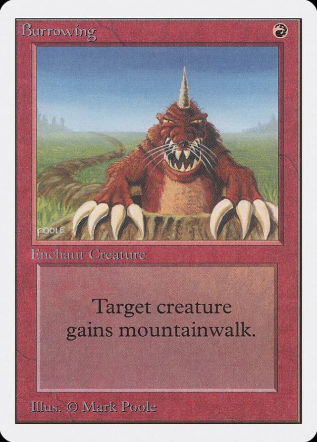 Burrowing image