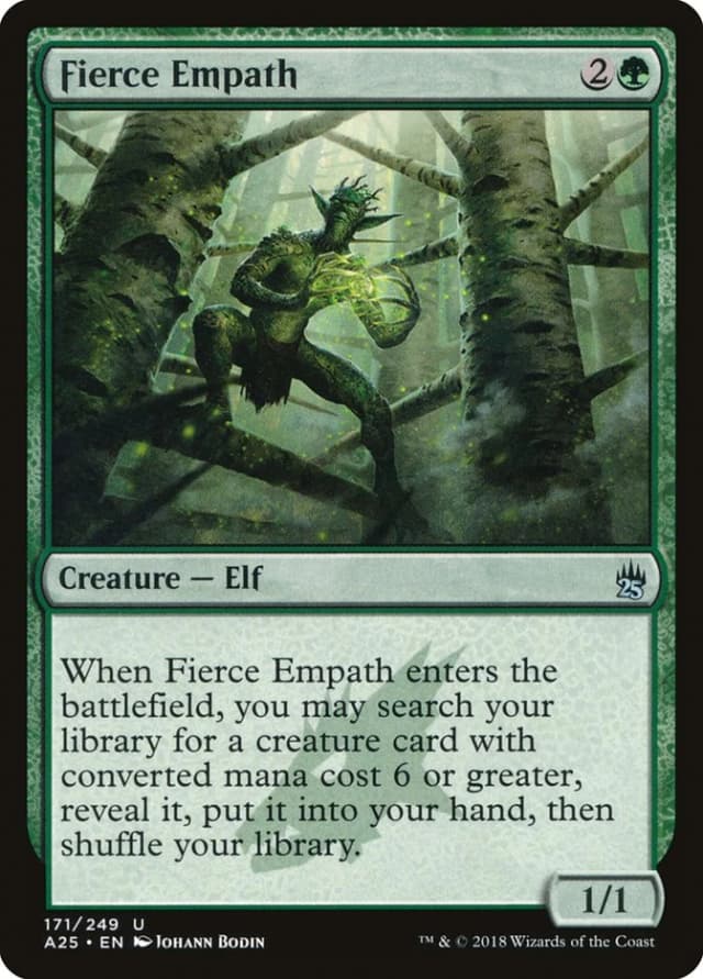 Fierce Empath image