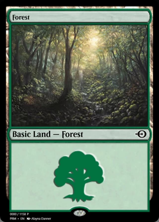 Forest image