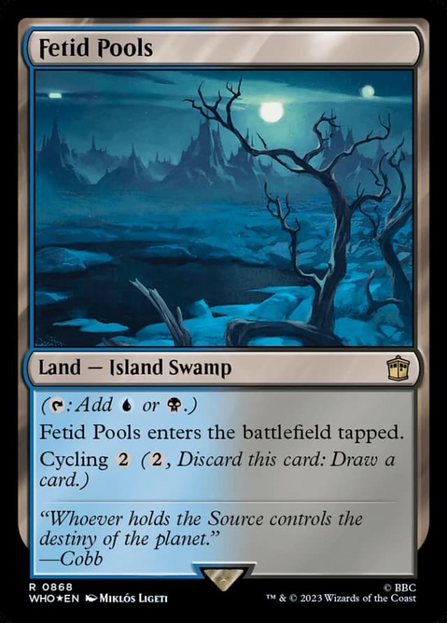 Fetid Pools image