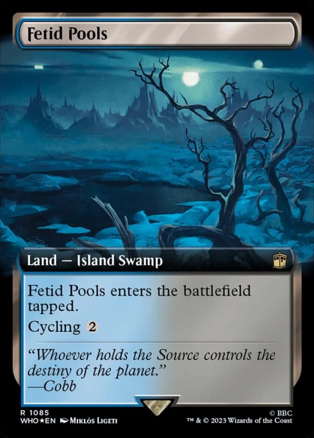 Fetid Pools image