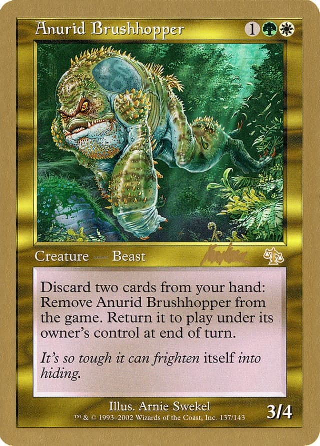 Anurid Brushhopper image