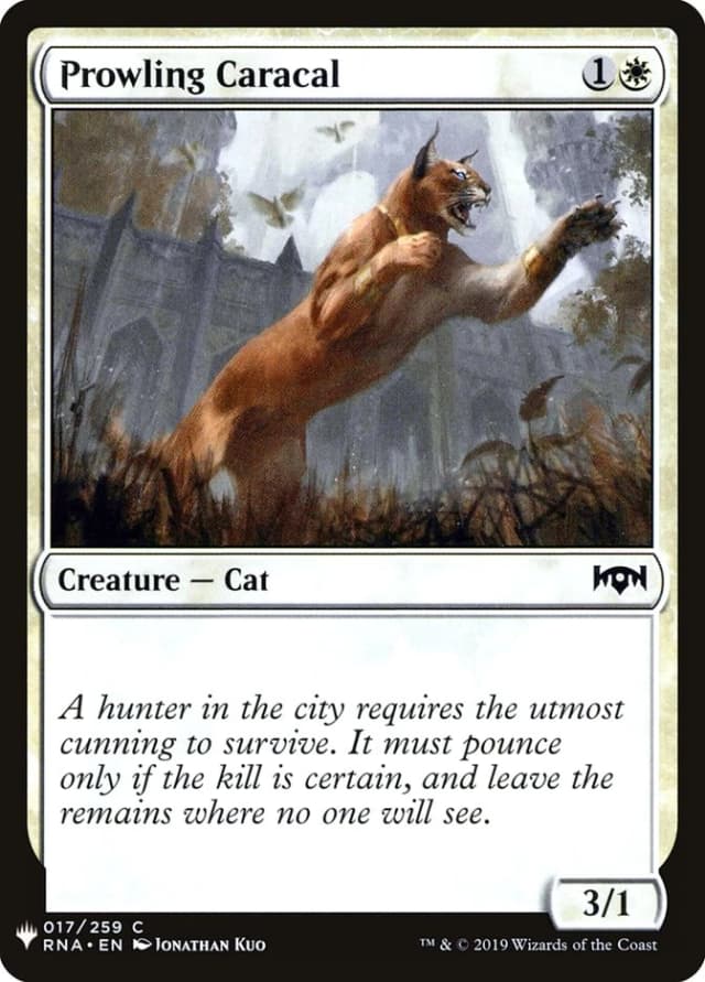 Prowling Caracal image