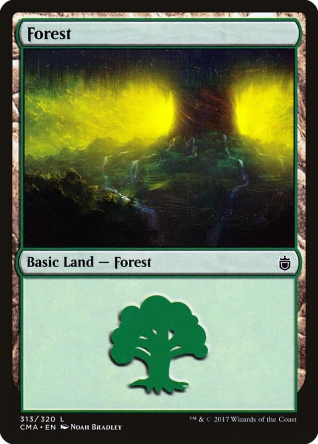 Forest image