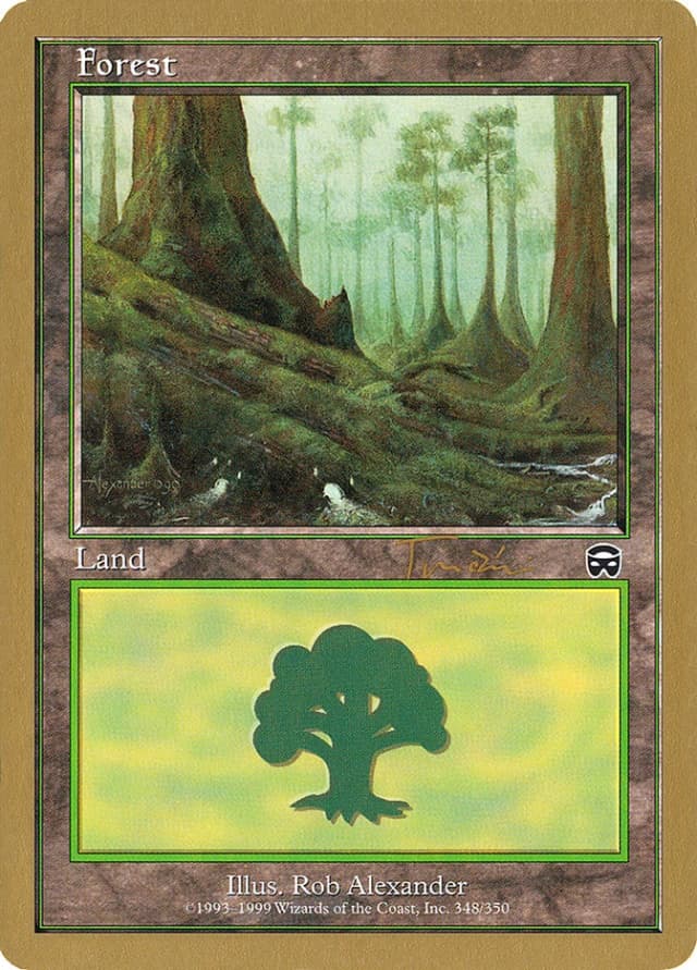 Forest image
