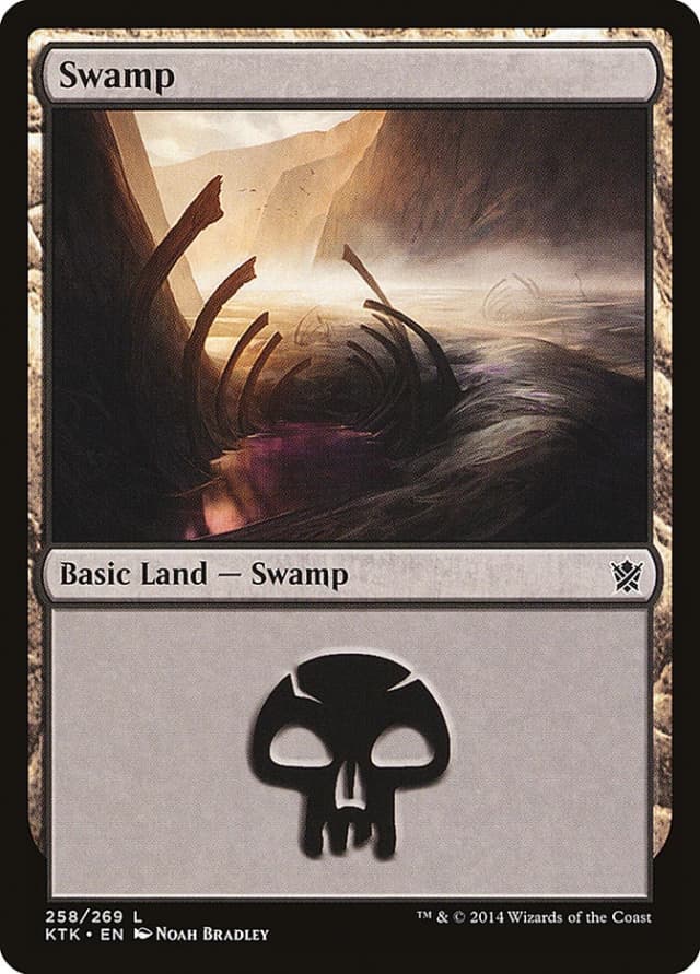 Swamp image