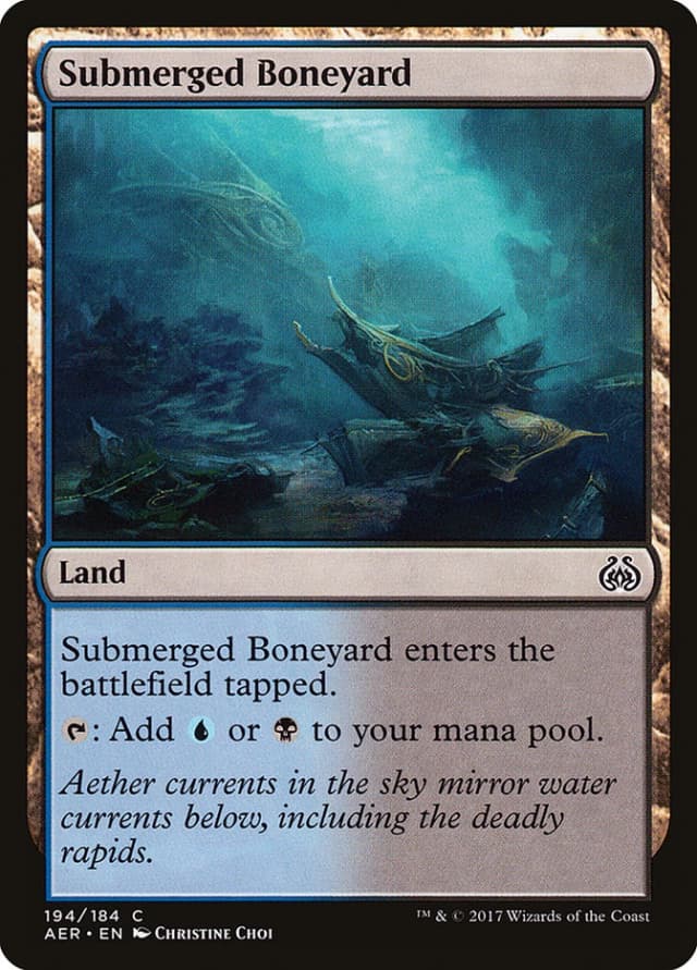 Submerged Boneyard image