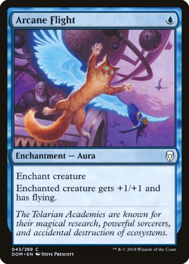 Arcane Flight image