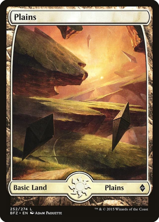 Plains image