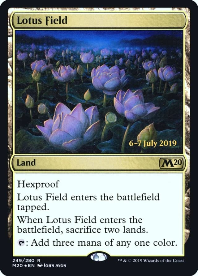 Lotus Field image