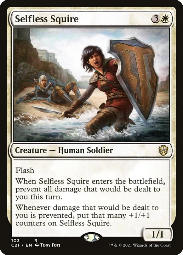 Selfless Squire image