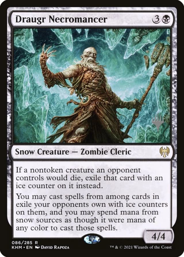 Draugr Necromancer image