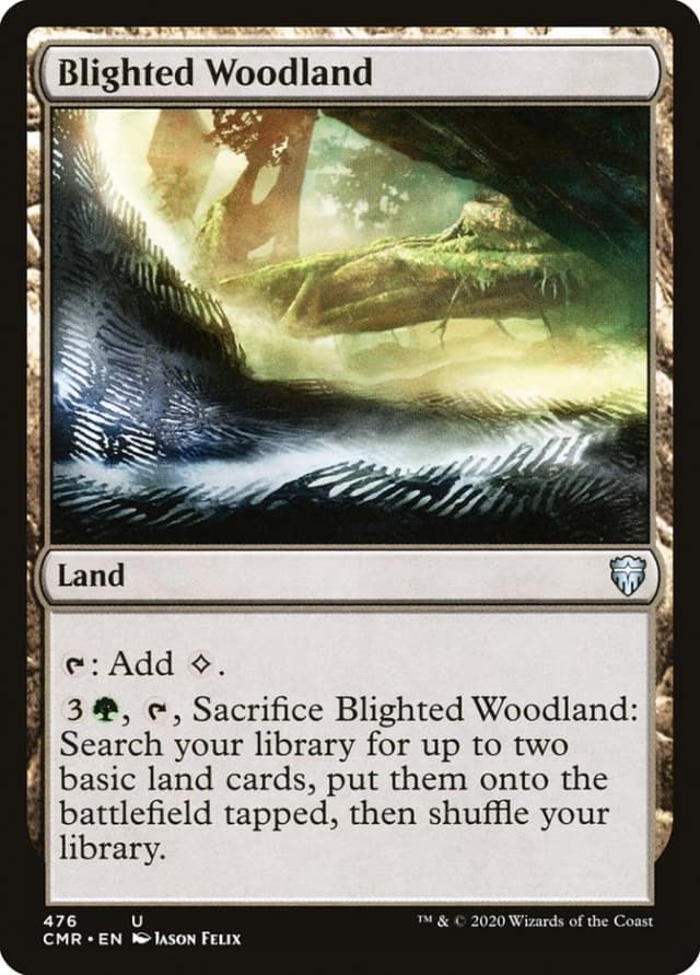 Blighted Woodland image