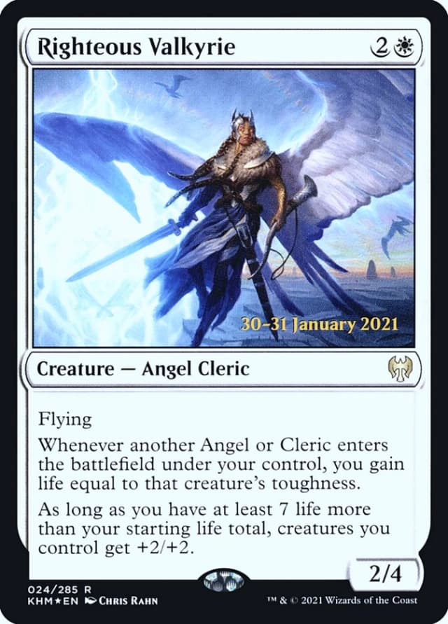Righteous Valkyrie image
