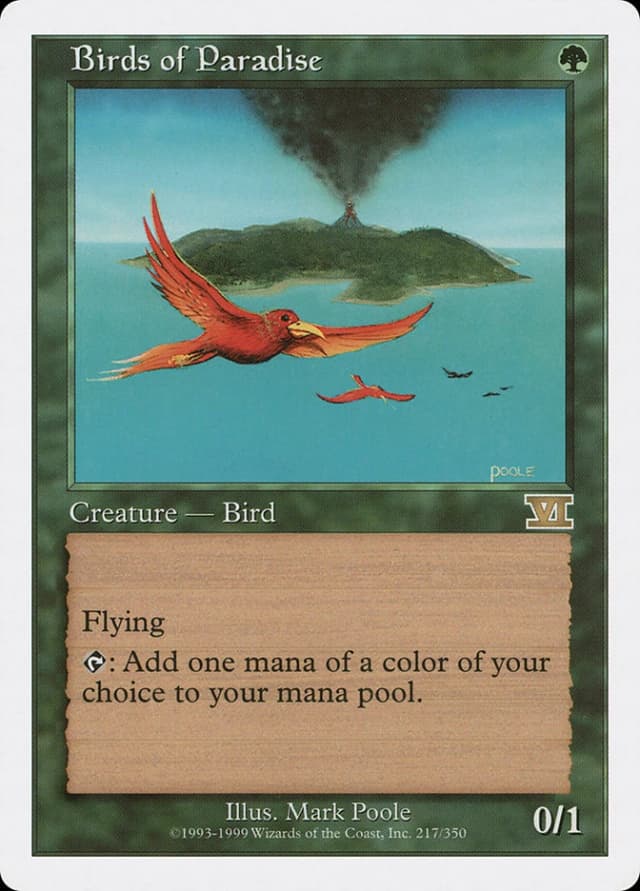 Birds of Paradise image