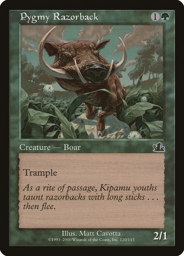 Pygmy Razorback image