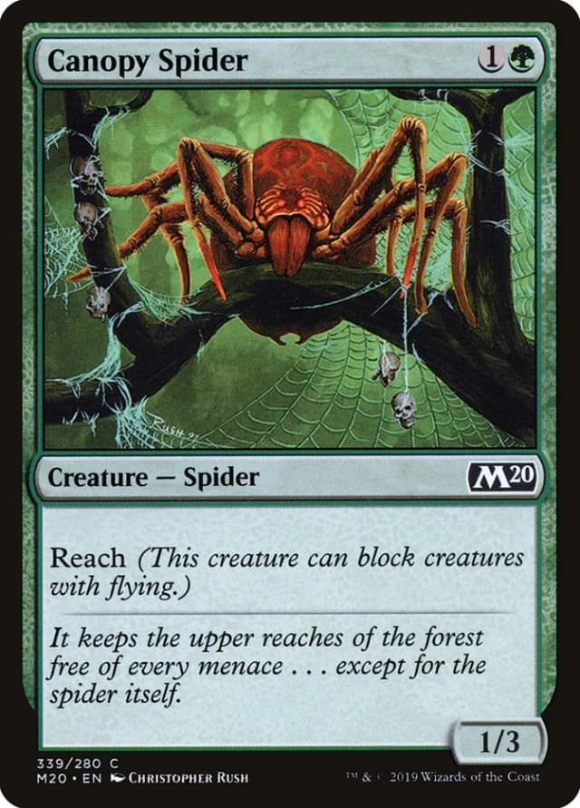 Canopy Spider image
