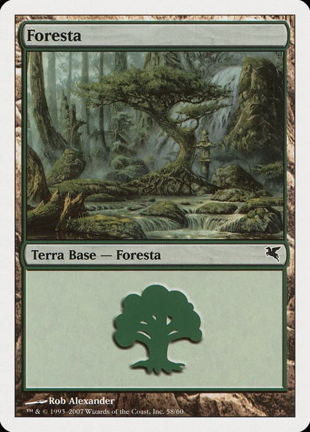 Forest image