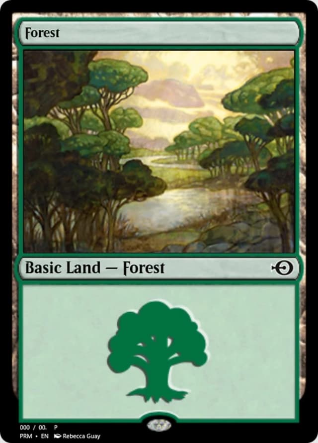 Forest image