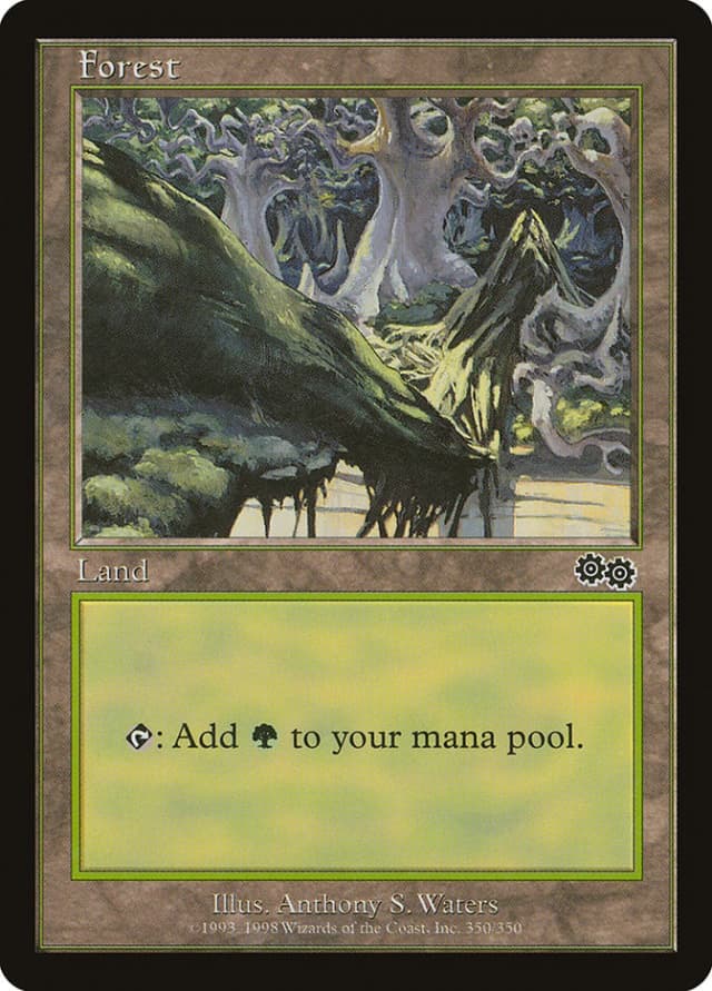 Forest image