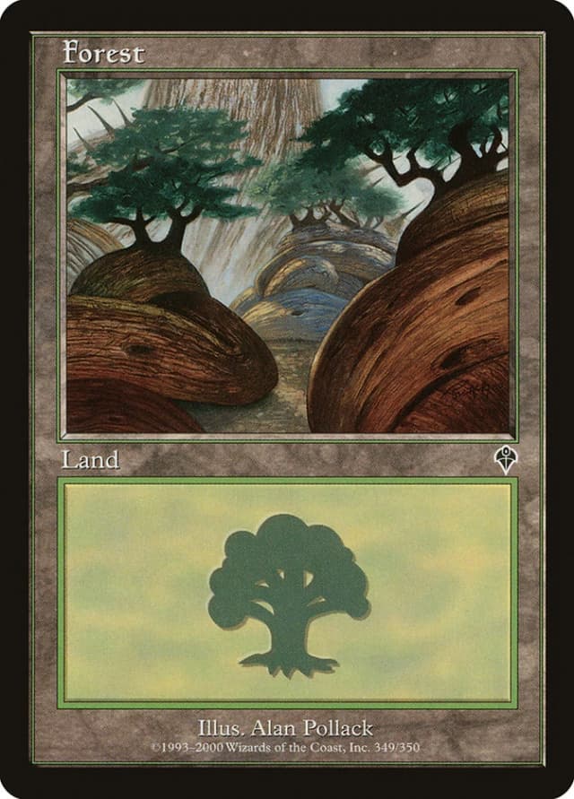 Forest image
