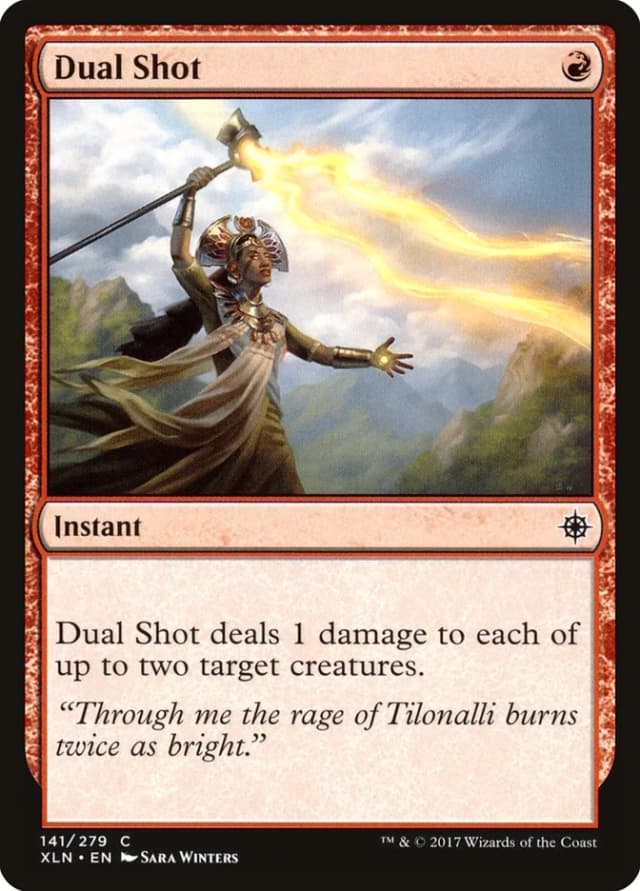 Dual Shot image