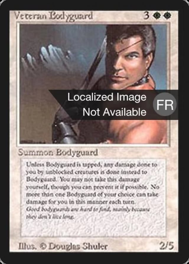 Veteran Bodyguard image
