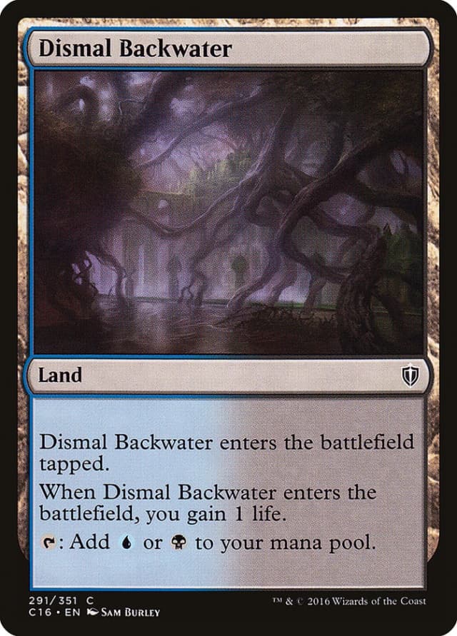 Dismal Backwater image