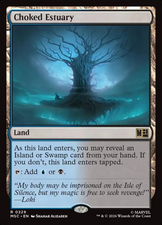 Choked Estuary image
