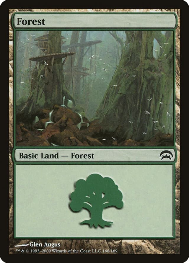 Forest image