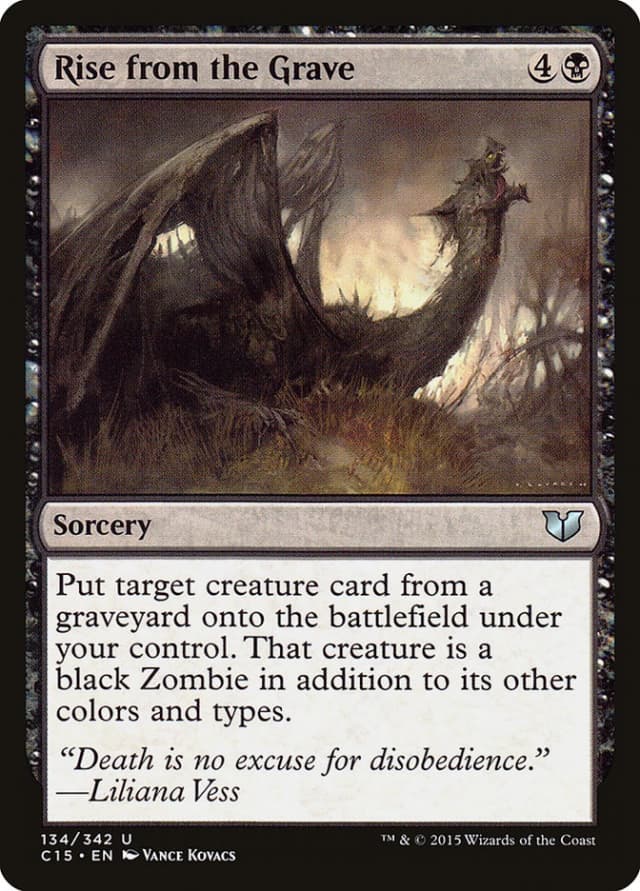 Rise from the Grave image