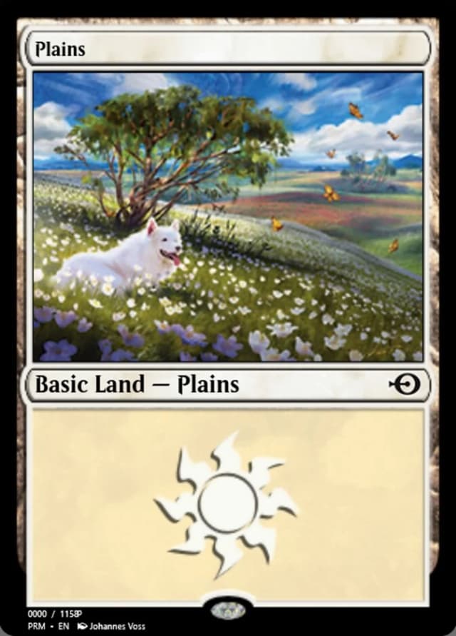Plains image