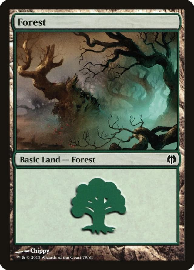 Forest image