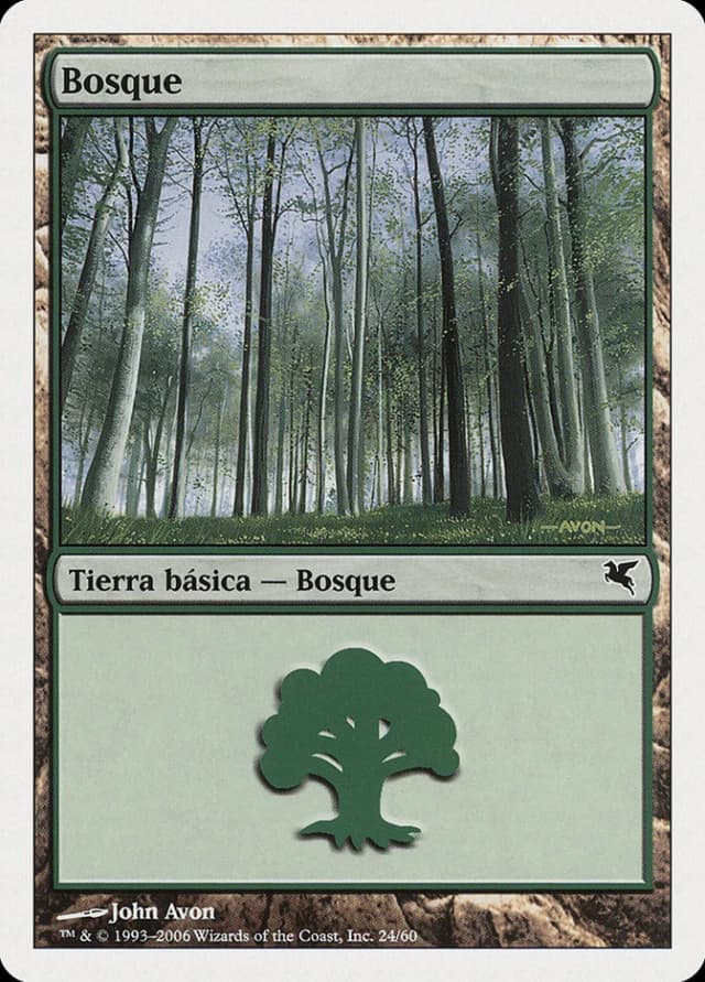 Forest image