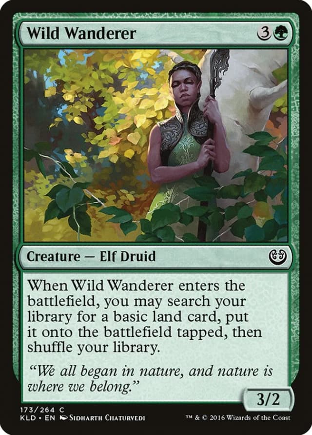 Wild Wanderer image