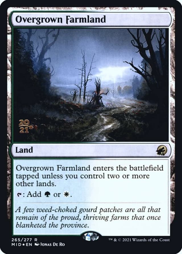 Overgrown Farmland image